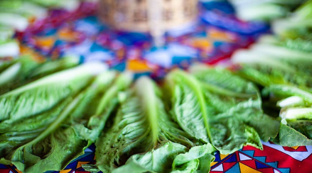 04cbc8_7d0578ffb23049cbbafe2a5fc35de88e~mv2